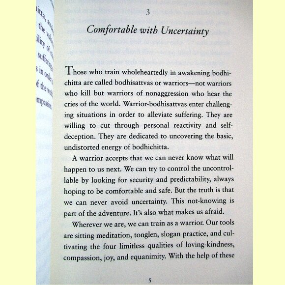 Book - Comfortable with Uncertainty: Teachings on Cultivating Fearlessness - Picture 6 of 15